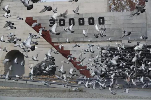 微信圖片_20171213142815_副本.jpg 微信圖片_20171213142815_副本.jpg