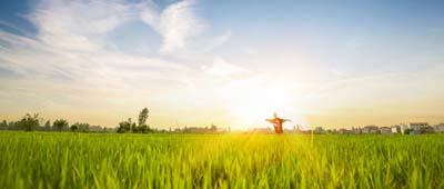 攝圖網_501382242_wx_農田全景風光(企業商用).jpg 攝圖網_501382242_wx_農田全景風光(企業商用).jpg