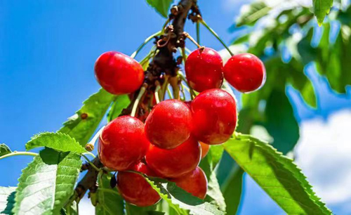 圖片3.jpg 圖片3.jpg