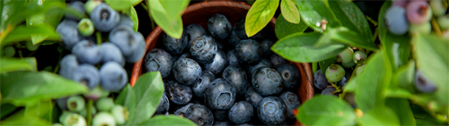 圖片4.png 圖片4.png